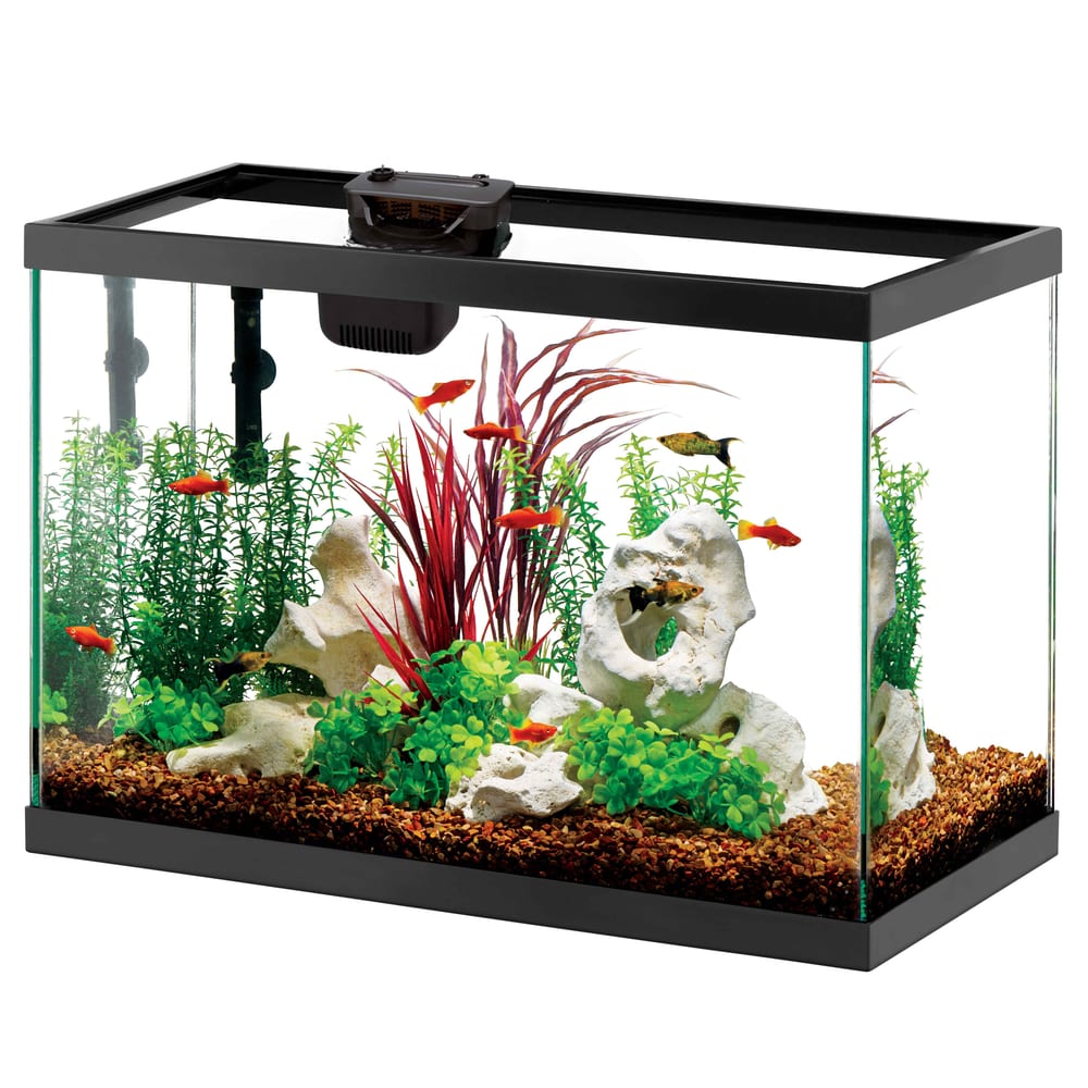 Aqueon LED 75-Liter-Glas-Aquarium-Einsteigerset mit SmartClean-Filter