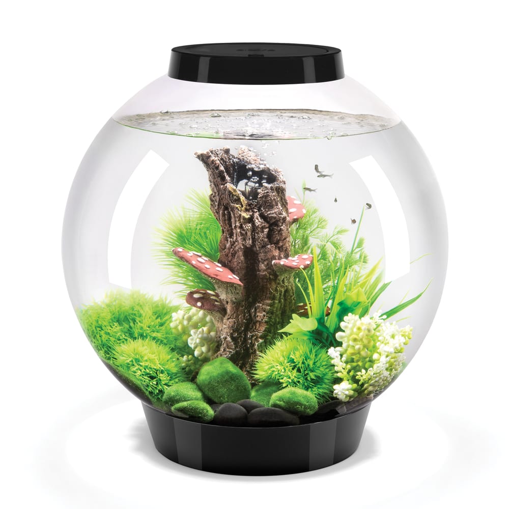 biOrb Classic 30 kugelförmiges Acryl-Aquarium, 30 Liter, mit ferngesteuerter LED-Beleuchtung