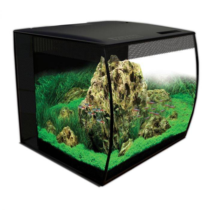 Fluval Flex 15 Aquarium mit 57 Litern, gebogener Frontscheibe und RGBW-LED-Beleuchtung