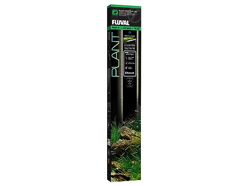 Fluval Plant 3.0 app-gesteuerte LED-Leuchte über einem bepflanzten Aquarium