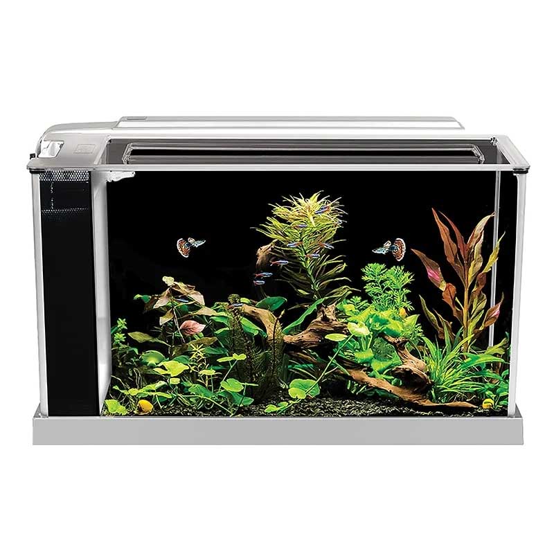 Fluval Spec V 19-Liter-Nano-Aquarium mit versteckter Filterung und LED-Leuchte
