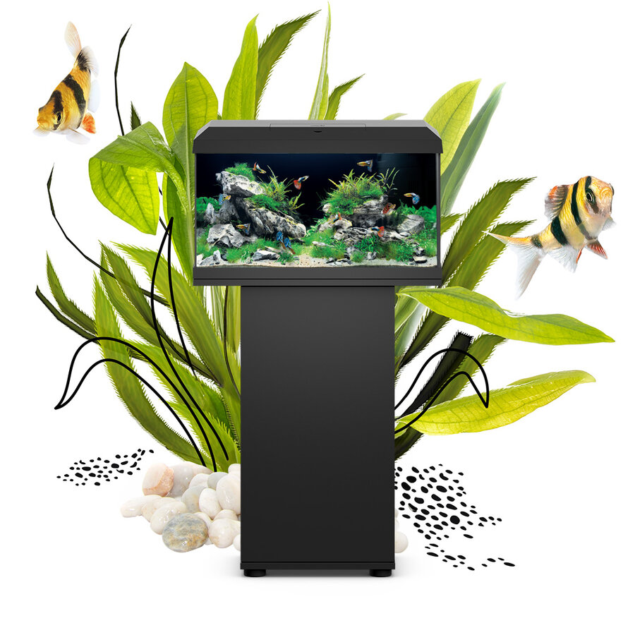 Juwel Primo 70 LED Aquarium in Schwarz mit Abdeckung und integrierter Filterung