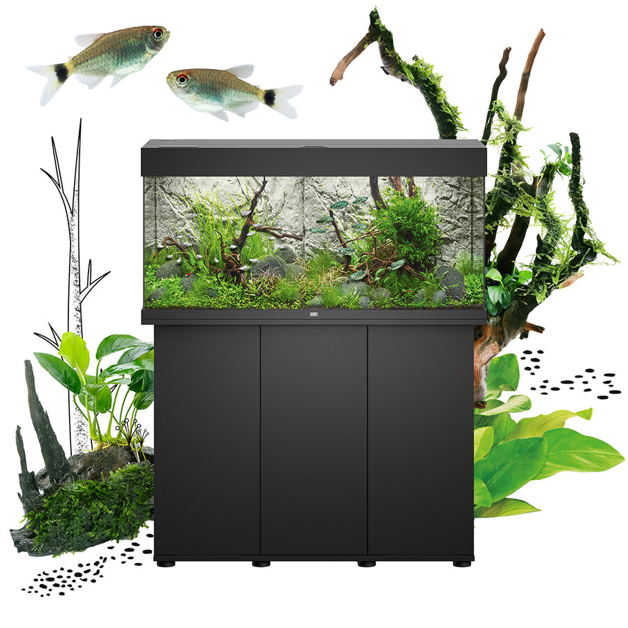 Juwel Rio 180 LED Aquarium in Schwarz auf passendem Unterschrank mit bepflanztem Aquascape