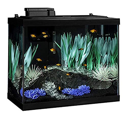 Tetra ColorFusion 75-Liter-Aquarium-Set mit farbwechselnder LED und Whisper-Filter